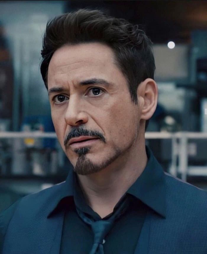 The Tony Stark aka Iron Man