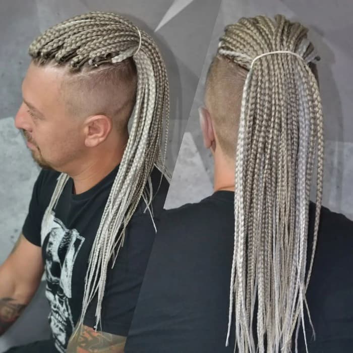 Loose Viking Braids