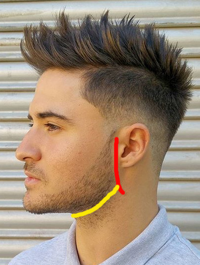 good beard neckline example