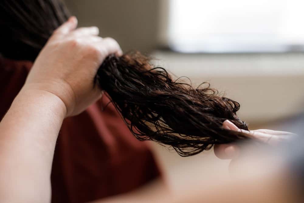 A close look at a hair stylists inspecting the hair of the client.