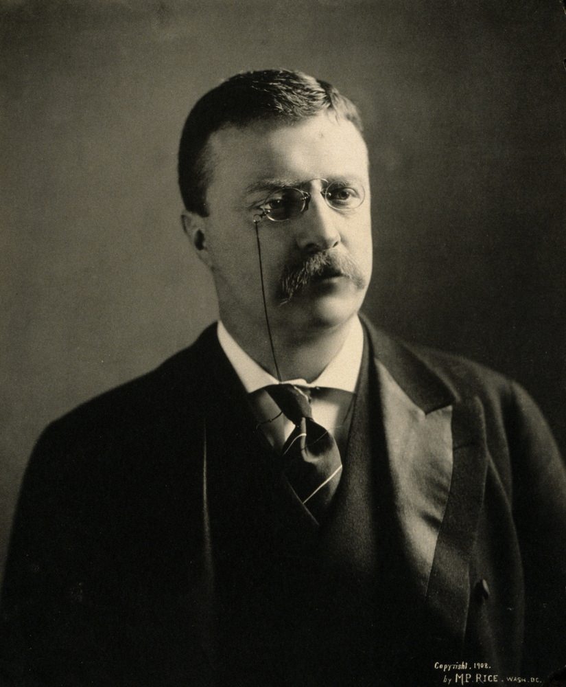 Theodore Roosevelt