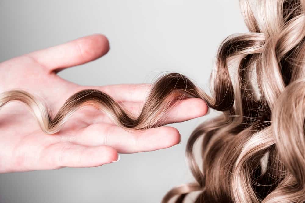 Close-up shot of curly hair with highlights.