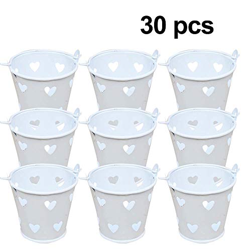 Awtlife 30 pcs Mini Metal Bucket Candy Favours Box Pail Wedding Party Gift