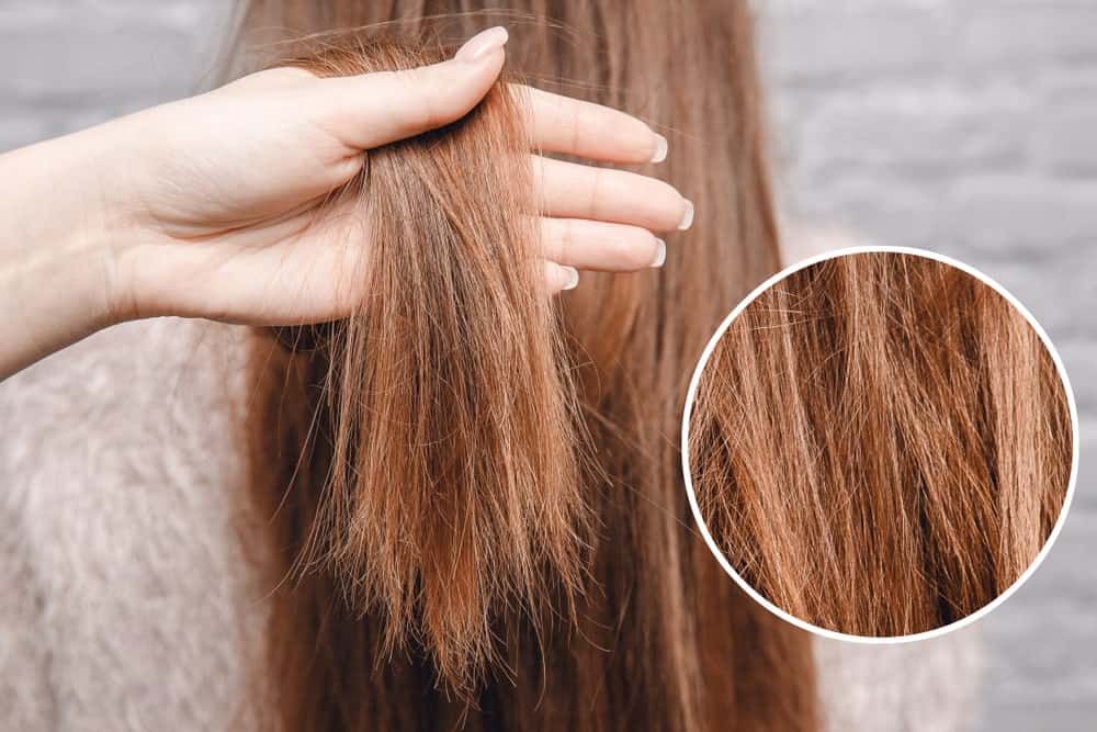 Close up of damaged hair.