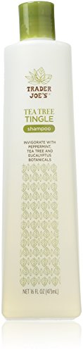 Trader Joe's Tea Tree Tingle Shampoo