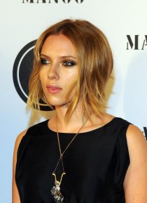 Celebrity Long Inverted Bob Hairstyle