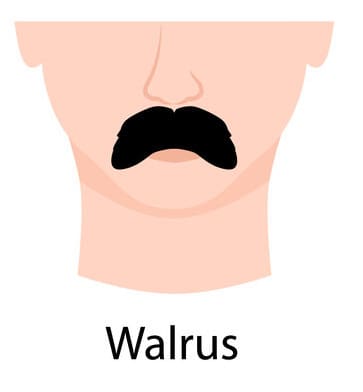 Walrus Mustache