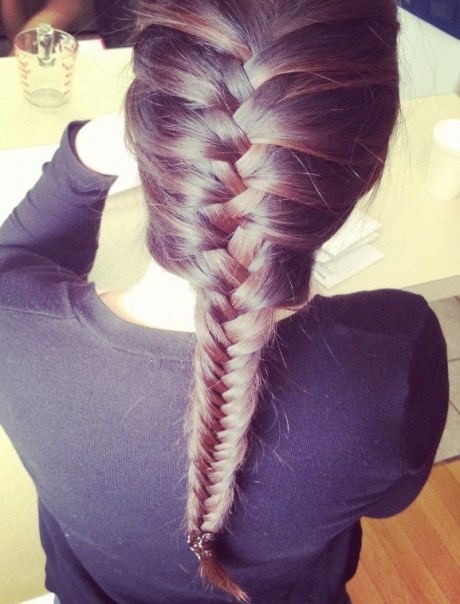 French Fishtail Braid Hair