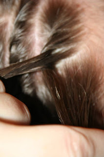 Close up of young girl's hair being styled into "Hair Twists into Messy Buns" hairstyle 