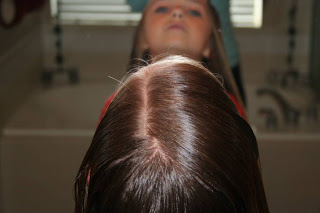 Back view of young girl's hair being styled into "Ponytail Half Braid"