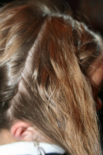 Double-Braid Twistback #4