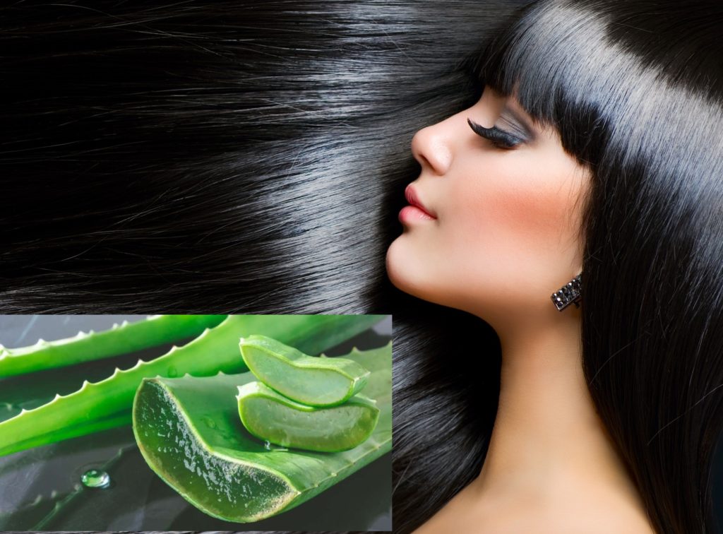 Herbal Hair Care Tips