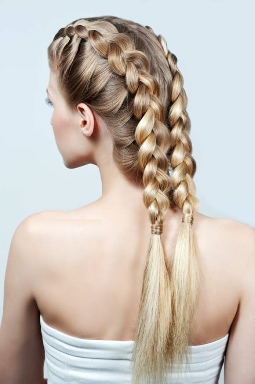 Two Braids Hairstyles