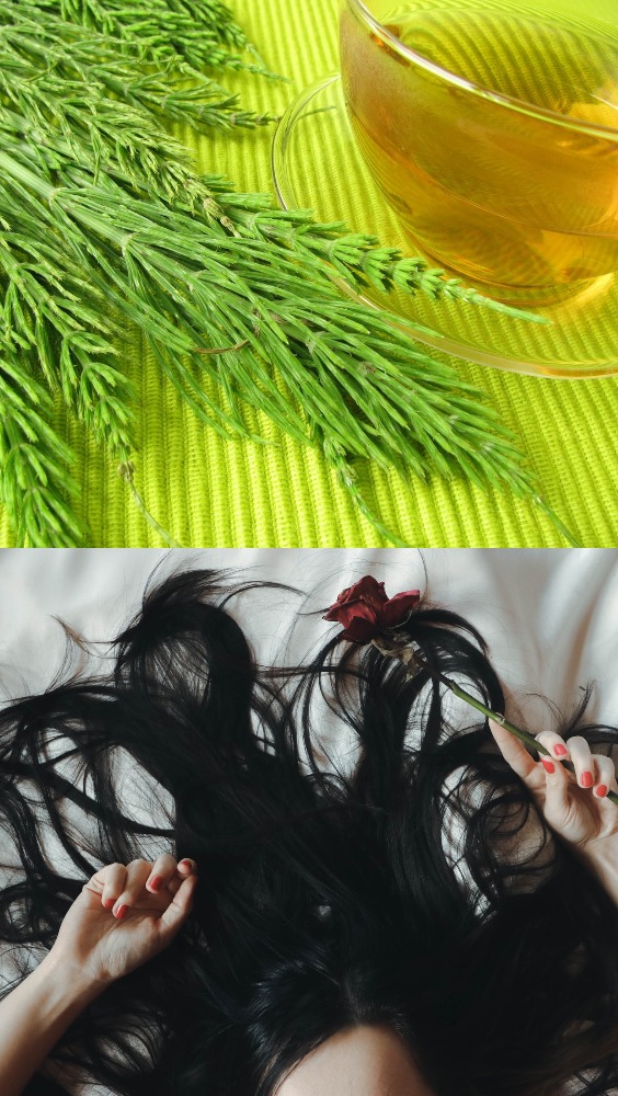 Herbal Hair Care Tips