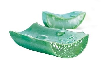 Pieces of Aloe Vera