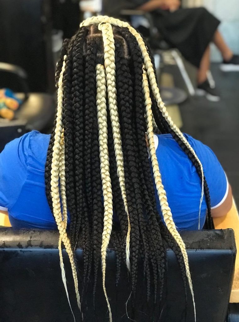 Individual Braids Hairstyles