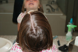 Back view of young girl's hair being styled into "twisty buns" hairstyle