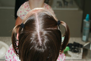 Back view of young girl's hair being styled into "twisty buns" hairstyle