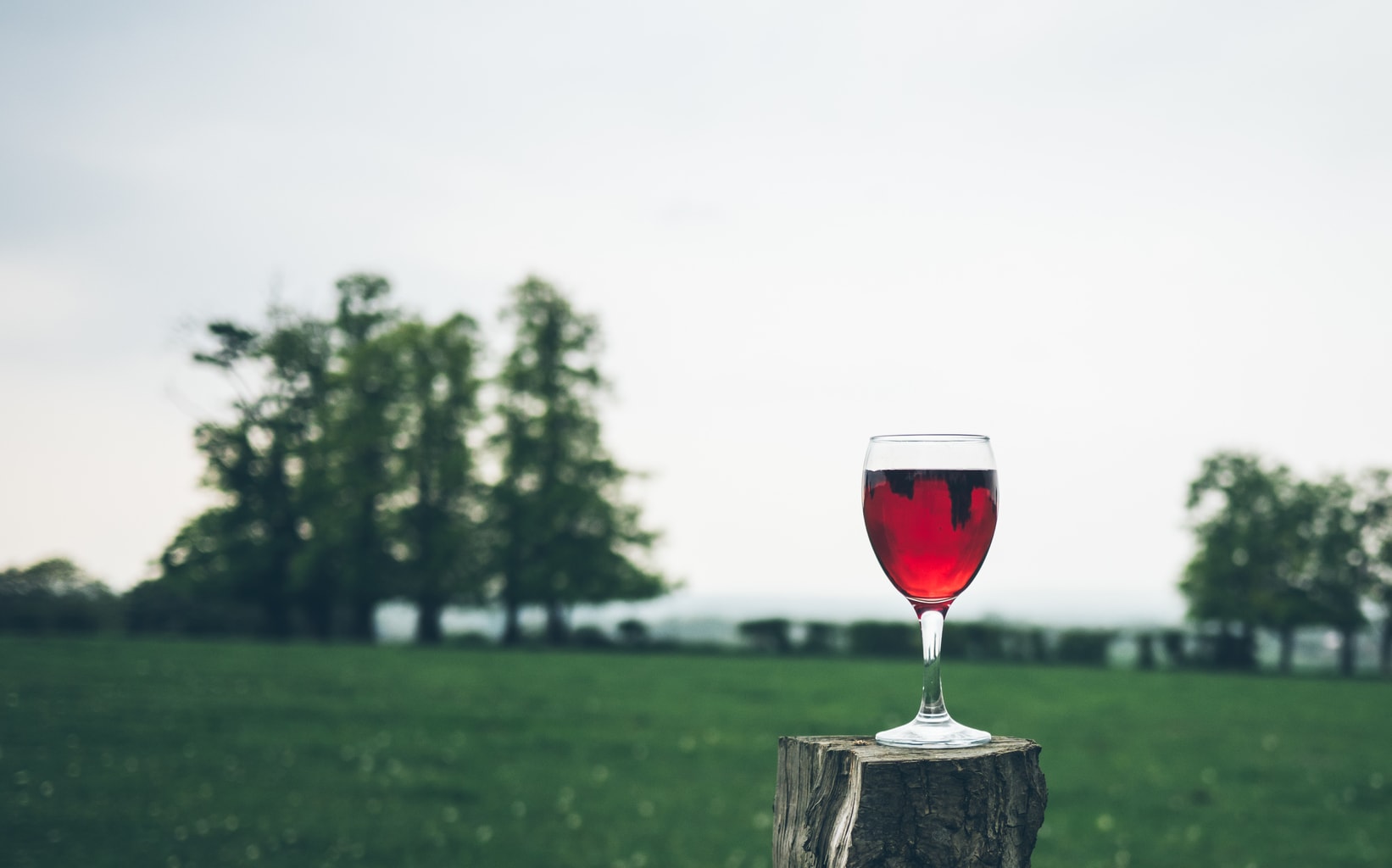 red wine with trees in background