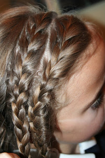 Double-Braid Twistback #5