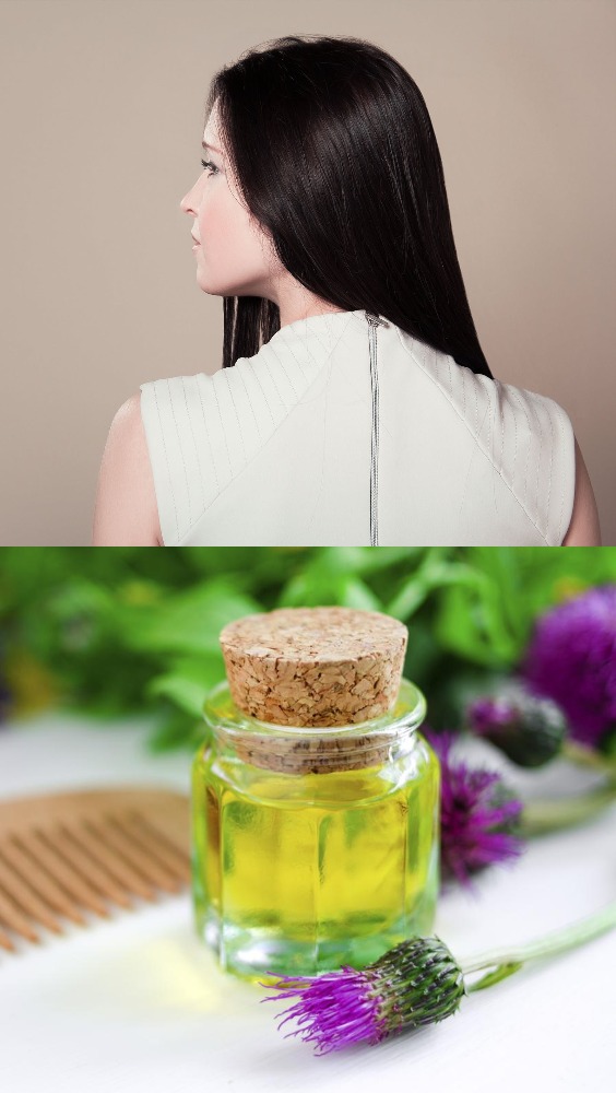 Herbal Hair Care Tips