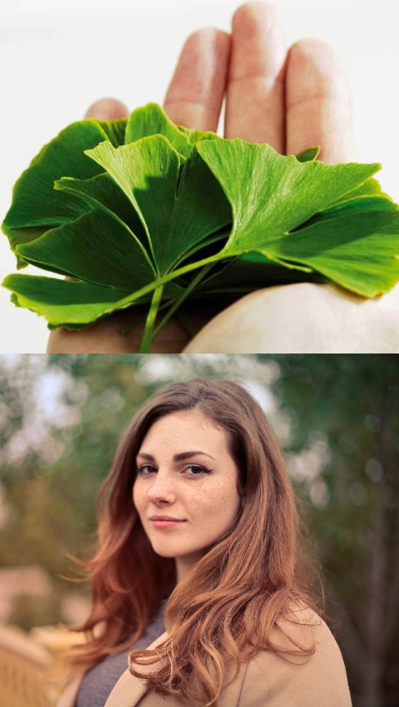 Herbal Hair Care Tips