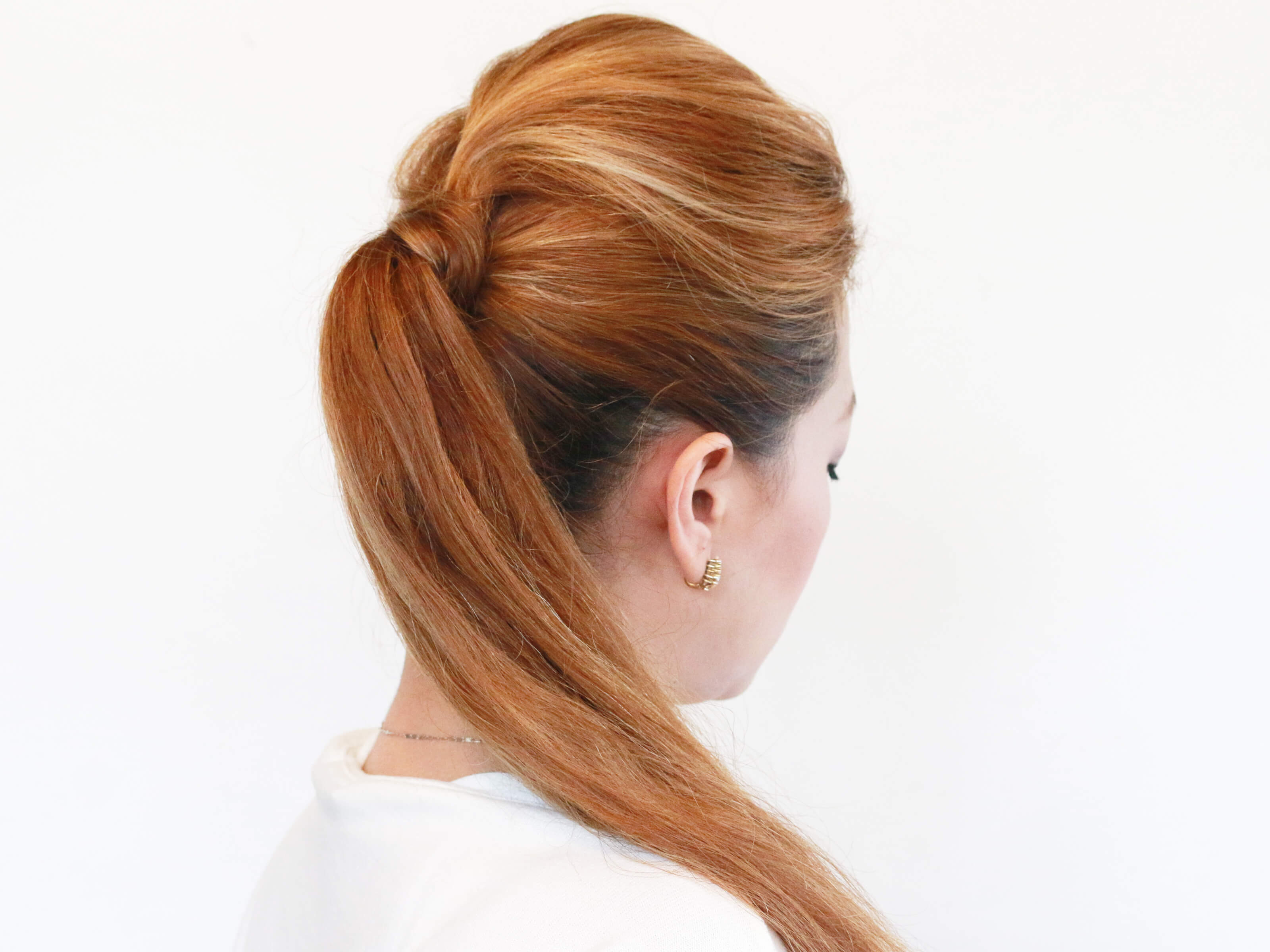 Professional Ponytail