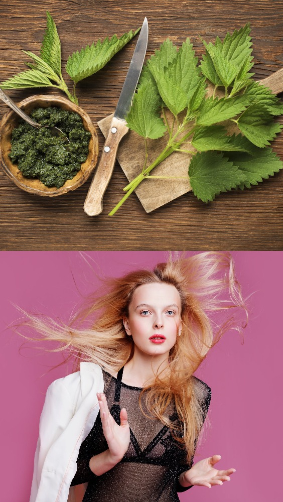 Herbal Hair Care Tips