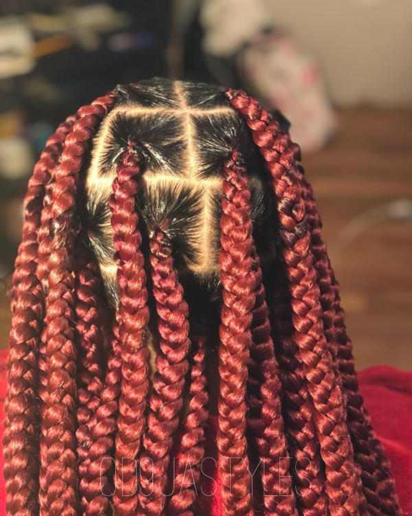 Knotless Box Braids (3)