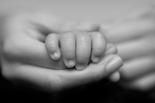 Parents hands holding a baby's hands