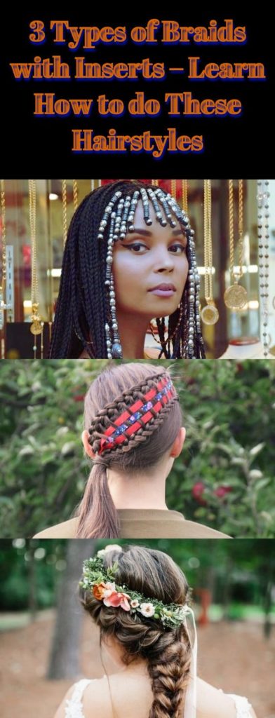 Types of Braids with Inserts