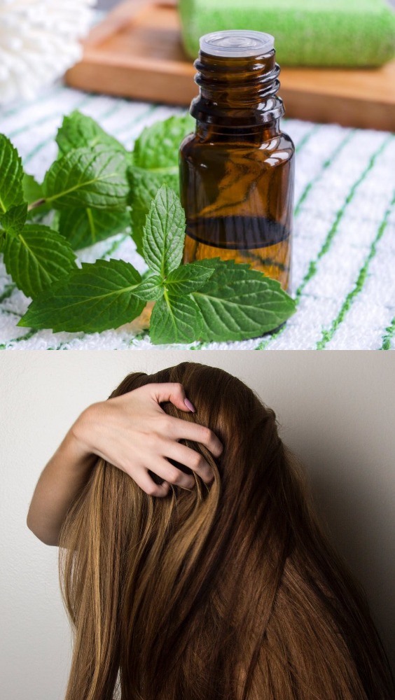 Herbal Hair Care Tips