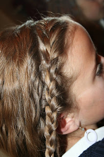 Double-Braid Twistback #3