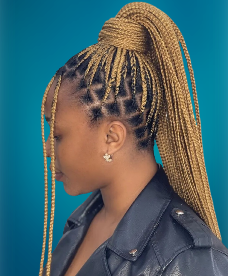 Knotless braids hairstyles 2022-2023