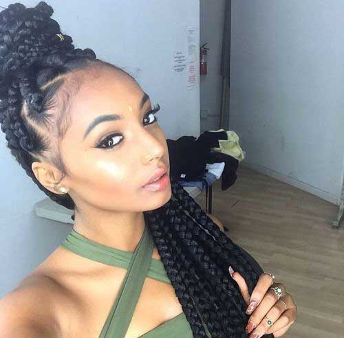 Afro Hairstyles with Braids-13