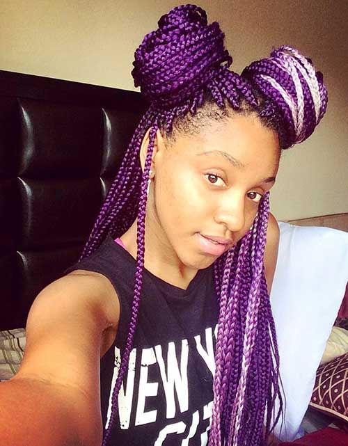 Afro Hairstyles with Braids-16