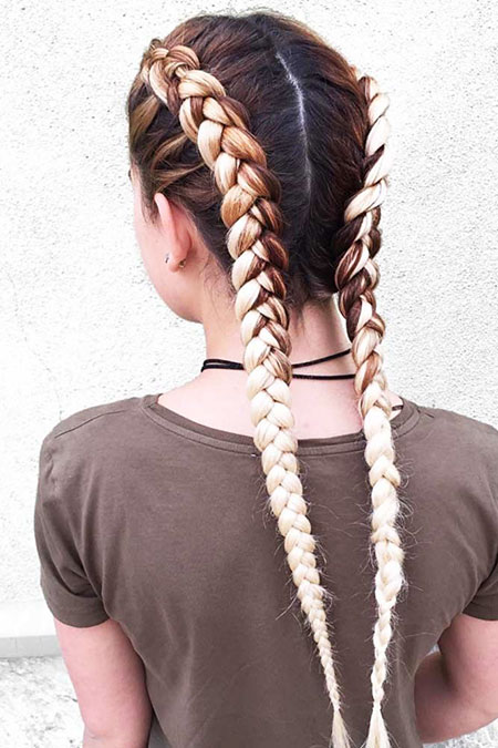 Hair Braid Braids Braided