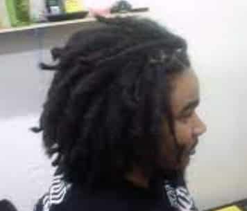 the Backcombed Dreadlocks