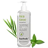 Baebody Tea Tree Oil Shampoo for Dandruff, Dry Hair & Itchy Scalp, 16 Ounces