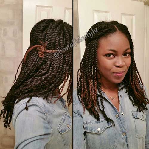 Mini Twists on Natural Hair Styles