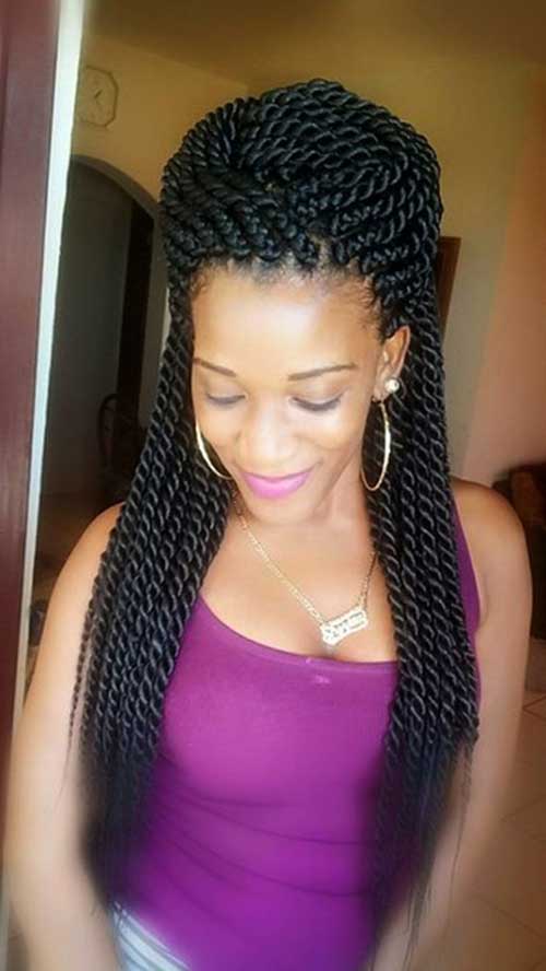 Afro Hairstyles with Braids-8