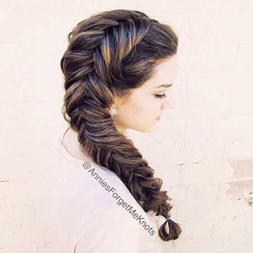 Fishtail Braided Hairstyles