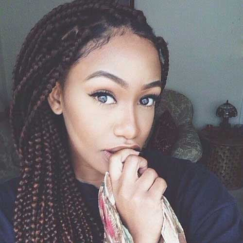 Hairstyles Braids for African Hair