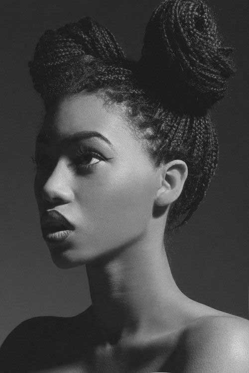 Afro Hairstyles with Braids-27