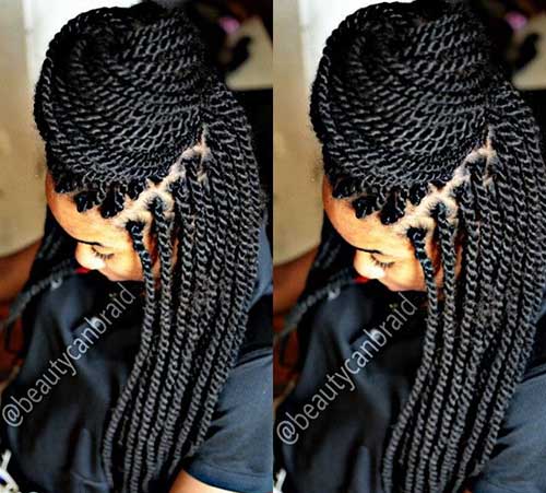 Afro Hairstyles with Braids-17