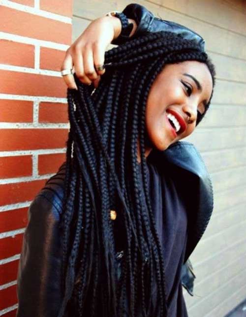 Afro Hairstyles with Braids