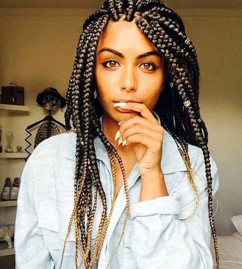 Afro Braids Hairstyles