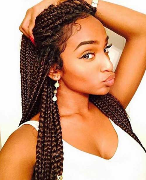 Afro Hairstyles with Braids-24