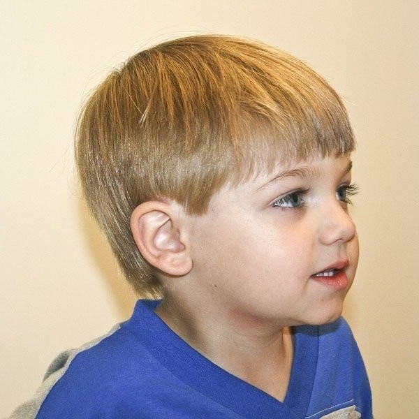 Inspiring Toddler Boy Haircuts