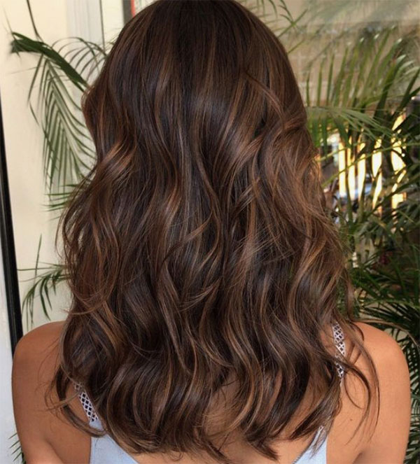 Brown Hair Color Styles